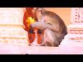 Mom Please Newborn Baby Tries To Asking Mother Pick Up