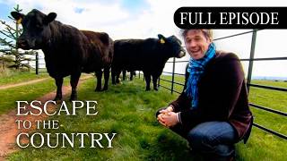 Escape to the Country Season 11 Episode 11: Shropshire (2010) | FULL EPISODE screenshot 3