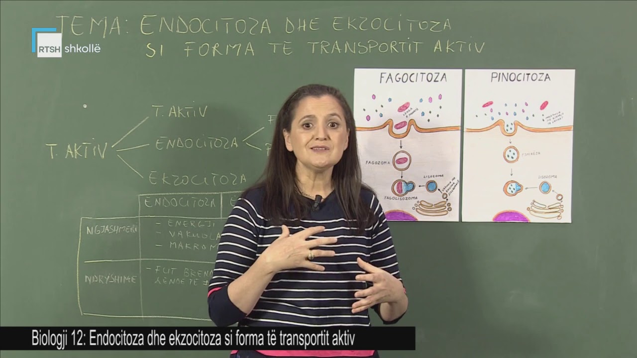 Biologji 12 - Endocitoza dhe ekzocitoza si forma të transportit aktiv