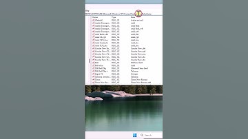 How to change font size in windows 11? ( 2025 )