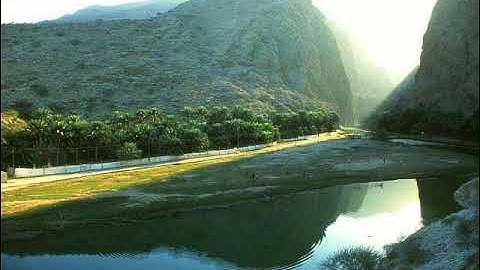 الدوكالي محمد العالم سورة AlQasas القصص