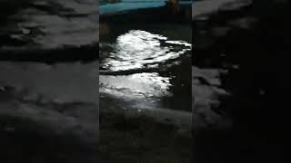 Elfi̇da Muhteşem Yorum