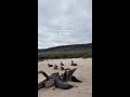 A Week in the Galápagos