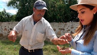 IMPRESIONANTE Técnica para encontrar AGUA con PIEDRAS Y VARILLAS - ALMA Coronel