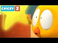 Where's Chicky? NEW SEASON 2 | THE STAR | Chicky Cartoon in English for Kids