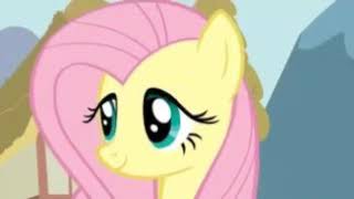 La pony bella (Gif)