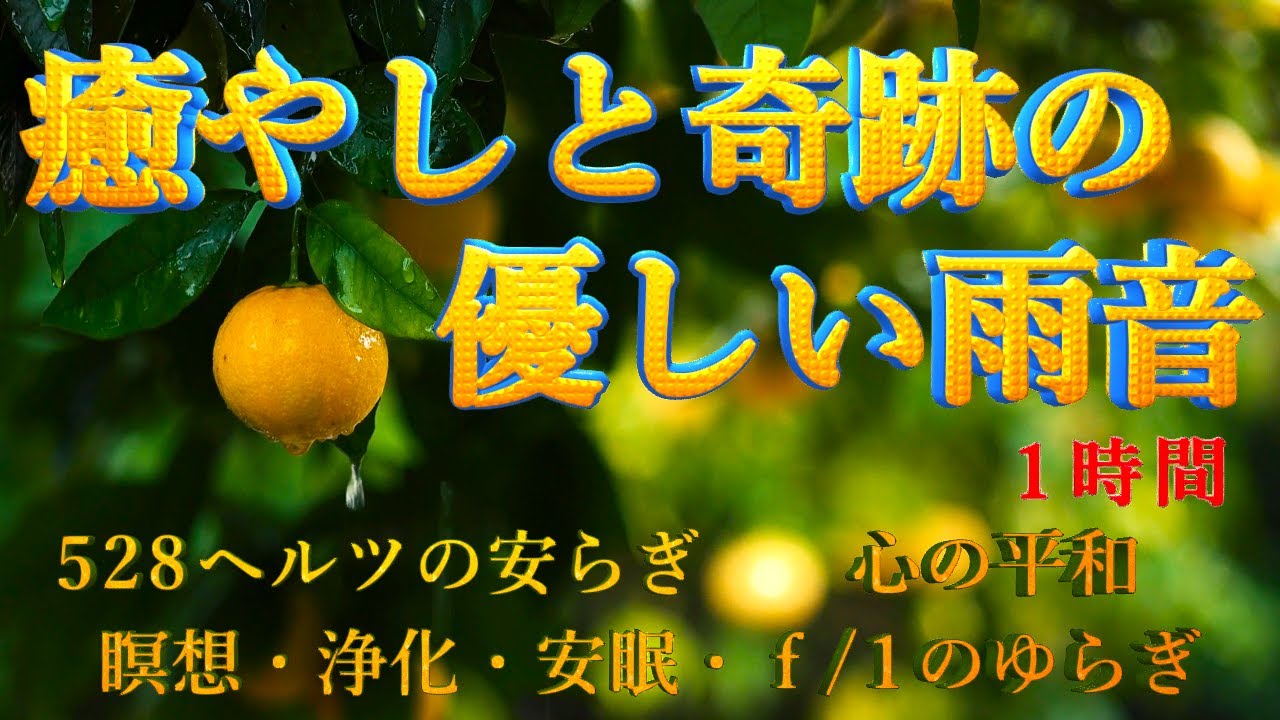 【🌹528 ヘルツの癒やしと奇蹟の雨音】f／1 ゆらぎ 528Hz 純粋ソルフェジオ周波数入り優しい雨音・ヒーリング自然音 ASMR【1時間 ...