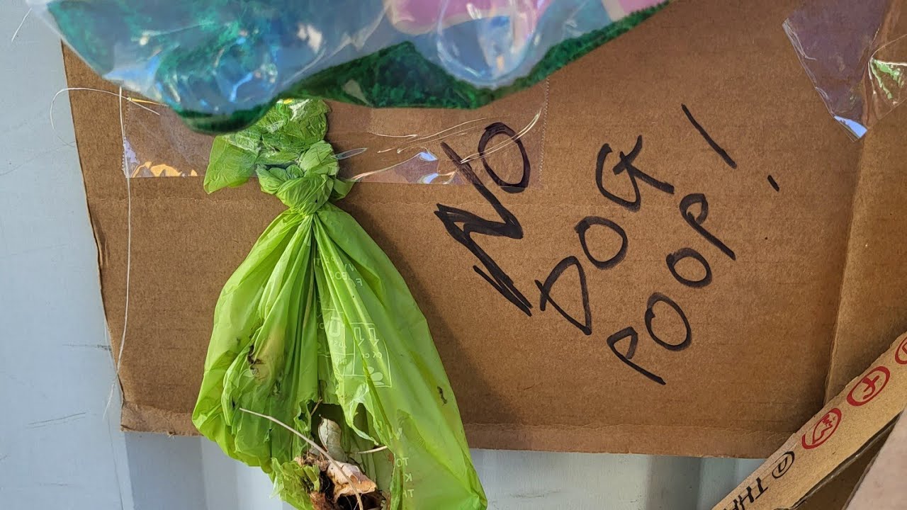 HOA Board Displays Trash and Dog Poop Around Property YouTube