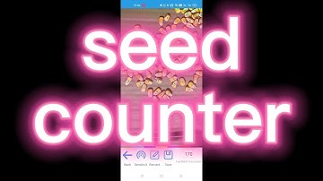 Automatic Seed Counter for Corn