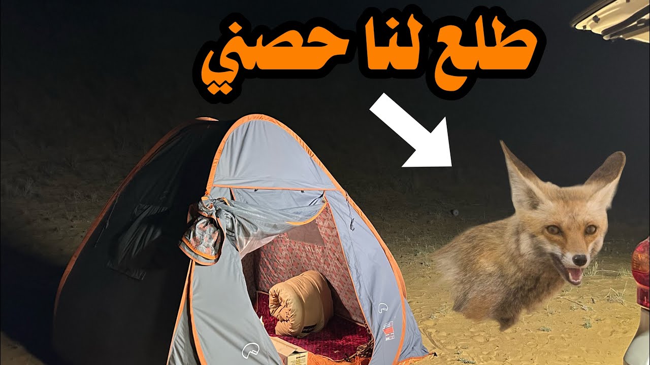 مكشات النفود مع الحصني