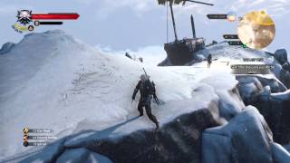 The Witcher 3: Disabled Geralt.