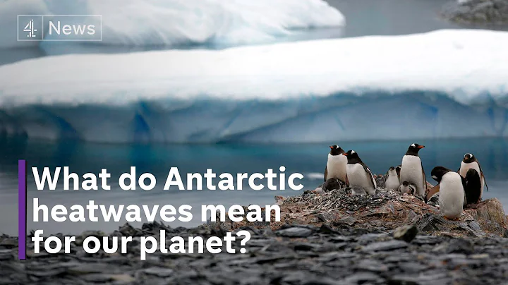 The threat of melting sea ice and marine heatwaves in the Antarctic - DayDayNews