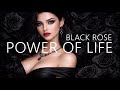 Black Rose Power Of Life New Eurodisco 2026 