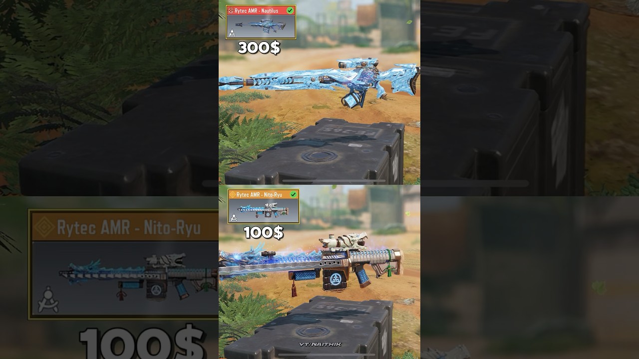 $300 vs $100 Rytec AMR in CODM 💀