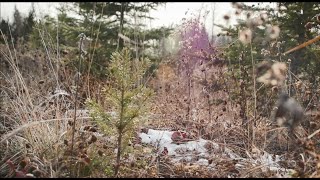Episode Six: Reclamation and Remediation