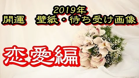 ガーベラ 待ち受け 恋愛