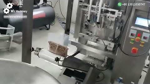 Premade Pouch Packaging Machine with Combination Scale | High-Speed Automatic Filler