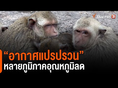 "อากาศแปรปรวน" หลายภูมิภาคอุณหภูมิลด (3 เม.ย. 65)
