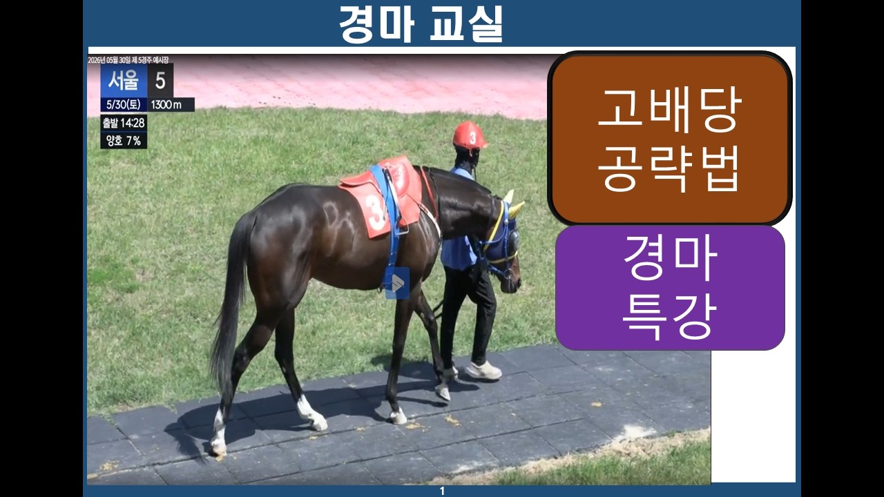 고배당 공략법/ 경마교실/ 경마분석/ 경마공부/ 경마예상