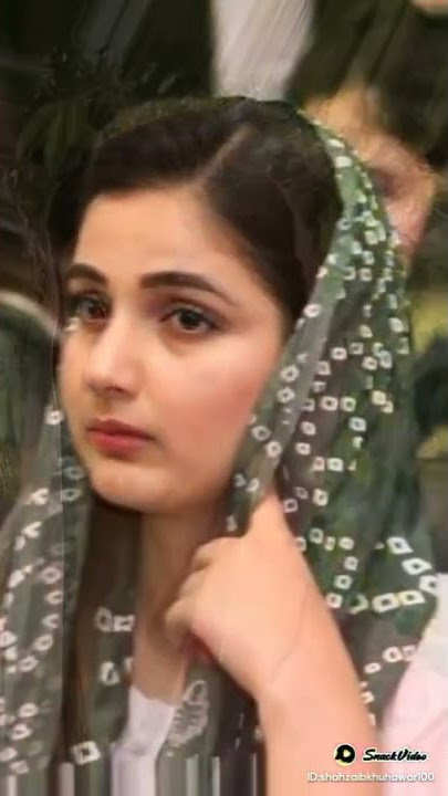 sania ashiq pmln mpa tiktok viral video