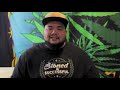 Fire OG Strain Review | Cannabis Lifestyle TV