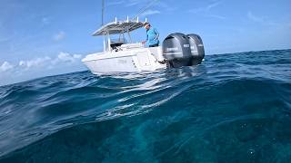 Lobster Season In The Bahamas | Free Diving | Exuma