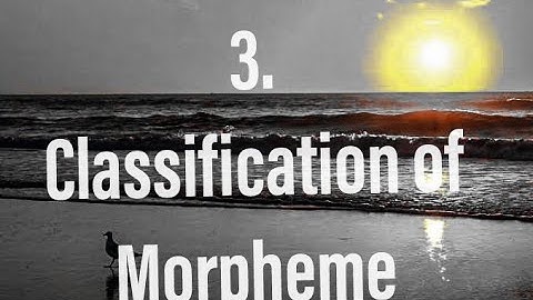 Classification of morpheme