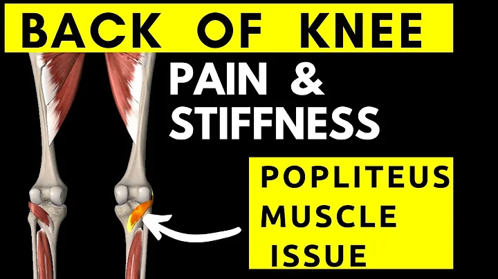 Relieving Pain Behind the Knee: Understanding the Popliteus Muscle