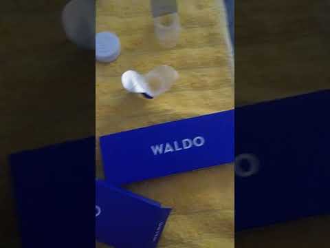 Waldo Contact Lens Review