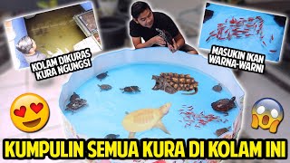 KOLAM KURA DIKURAS! SEMUA KURA-KURA DIKUMPULIN DI KOLAM INI! MASUKIN IKAN WARNA-WARNI!