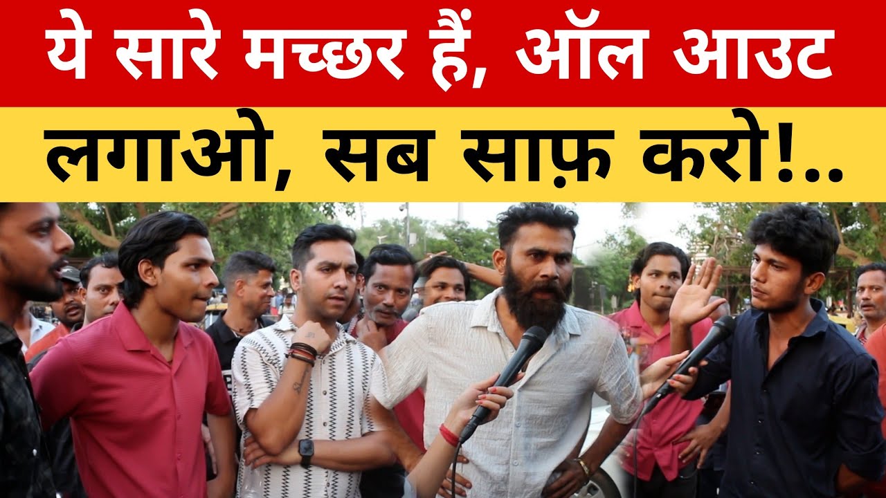 ये सारे मच्छर हैं! अब ऑलआउट लगाओ – सफाई ज़रूरी है 