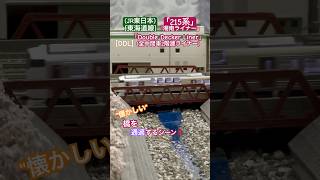 [橋 通過‼︎] 今では見られない215系 JR東海道線『湘南ライナー』が橋を走行、通過するシーン‼︎ #nゲージ #東海道線 #湘南ライナー #215系 #tomix #快速列車 #jr東日本