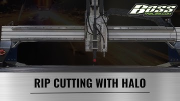 Rip cutting with the WHC / MVP Boss table
