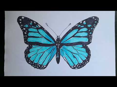 Kolay renkli kelebek nasıl çizilir | Kolay Kelebek çizimi | how to draw butterfly easily
