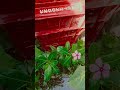 #2026#zara#kudrat#kya#nawaza#abhi#shorat#explore#update #vlog#viralvideos#viralreels#reels#ytshorts