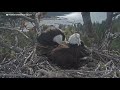 Bay Area students rally to protect Jackie and Shadow’s Big Bear habitat