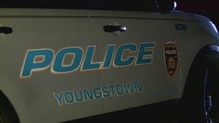Man held in Youngstown on assault and kidnapping charges