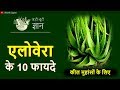 एलोवेरा के 10 गजब के फायदे | ALOE VERA JUICE BENEFITS FOR CLEAR SKIN, ACNE, PIMPLE &amp; HAIR CARE