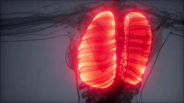 Was ist eine Lungenblutung?