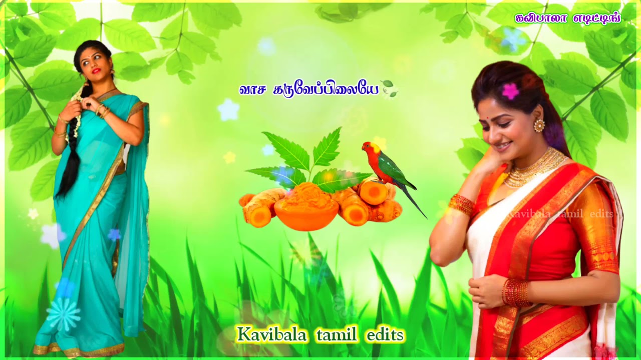 வாச கருவேப்பிலையே🍃🌻Mp3. song.💔