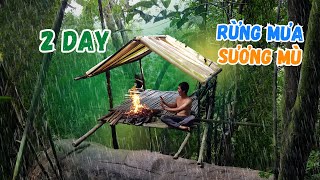 48H Sống Trong Rừng Mưa Sương Mù | 48 hours of living in a foggy tropical rainforest