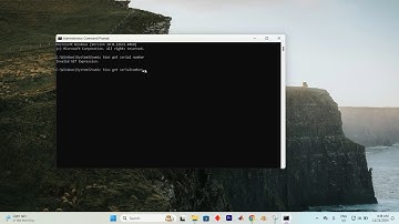 How To Find Computer Model & Serial Number of Windows 11 PC (2025)