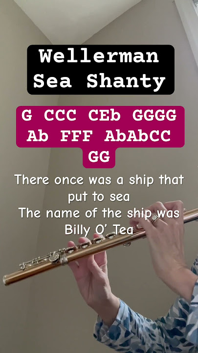 Wellerman Sea Shanty for flute!