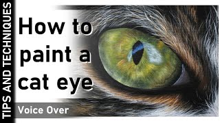 HOW TO PAINT A CAT EYE IN ACRYLICS | VOICE OVER