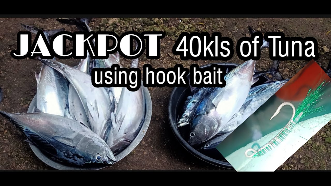 hookbait #Philippinefishing #traditionalfishing Jackpot 40kls of Tuna 