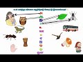 📝 தமிழ் உயிரெழுத்துகள் Matching Game குழந்தைகளுக்கான Easy Tamil Learning Learn Tamil for Kids