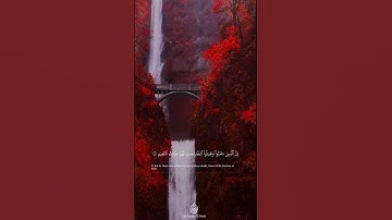 إِنَّ الَّذِينَ آمَنُوا وَعَمِلُوا الصَّالِحَاتِ لَهُمْ جَنَّاتُ النَّعِيمِ (8) #القارئ_محمد_اسبيعان