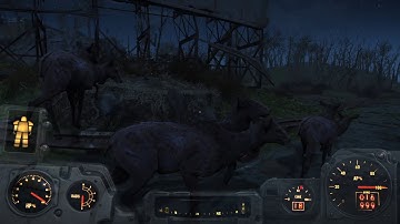 Fallout 4/ Random encounter With friendly Pack of Radstags