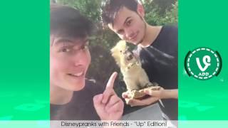 Try Not To Laugh Or Grin While Watching Thomas Sanders Vines Compilation 2016 ! - [Funny Videos]