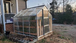 Harbor Freight 6x8 Greenhouse Tour  Adjustable Shelving, Zone 7a, Tomatoes in December